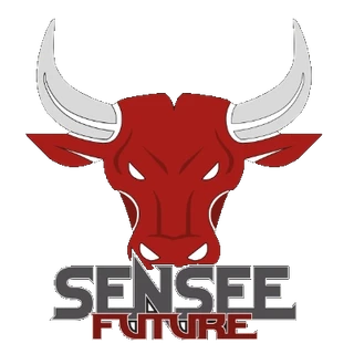 SenSee Future