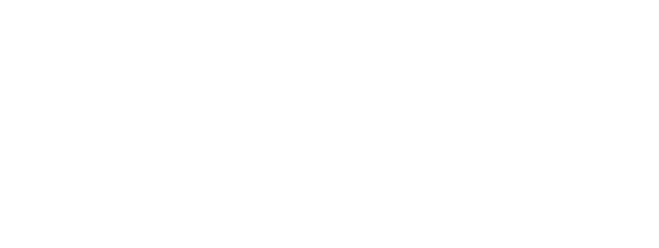 Horner Reisen AG