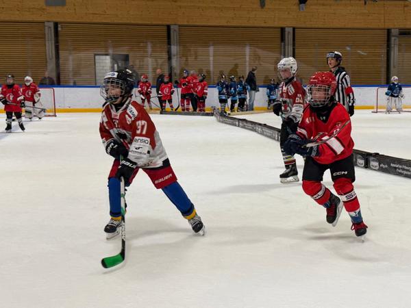 U12 - 2 Bild 1