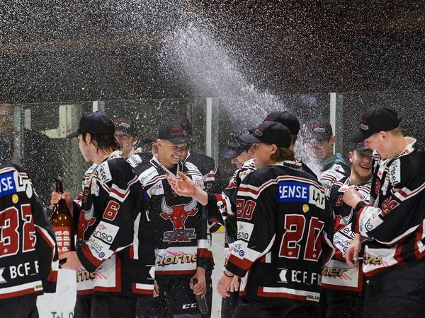 U21 A SenSee-Griffons Bild 1